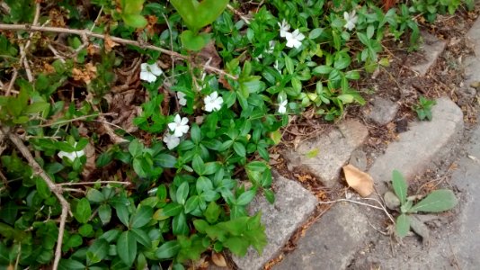 IMG 20150505 113628616
