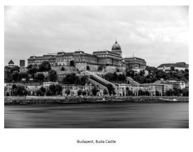 Buda Castle with Danube photo