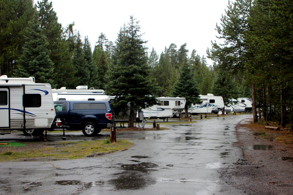 RVs at Fishing Bridge RV Park