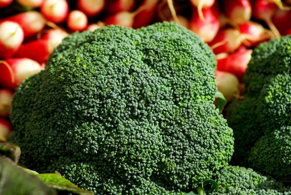 Vegetables gardening vitamins