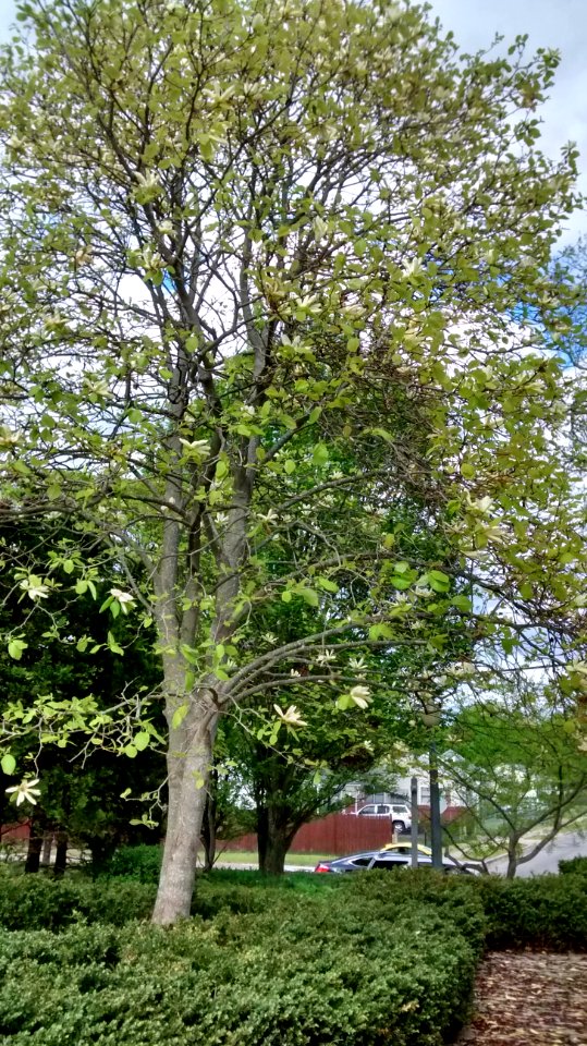 IMG 20150513 164541707 HDR