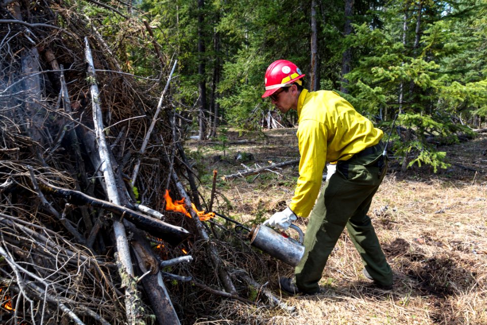 Northeast Entrance fuels project - using a drip torch to burn piles (2)