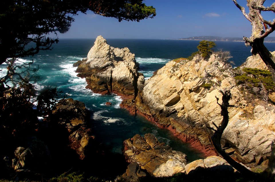 CYPRESS POINT (3-17-08) -04