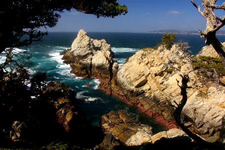 CYPRESS POINT (3-17-08) -04