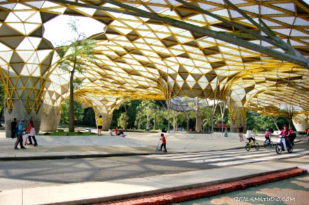DSC 0090