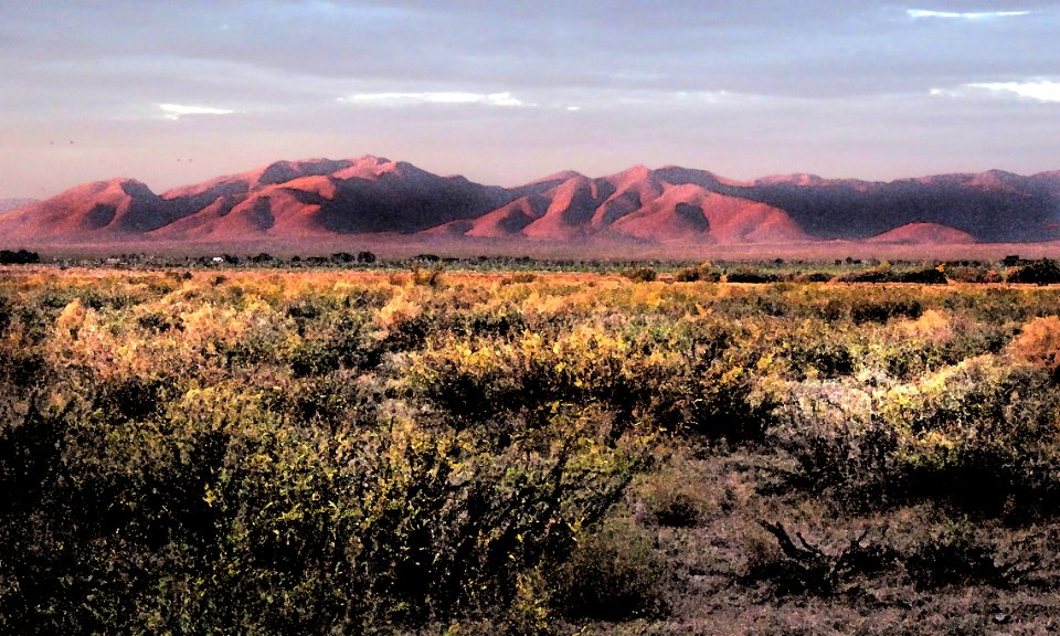 WHITEWATER DRAW WILDLIFE AREA (11-6-2020) early morning, cochise co, az -07 PHOTOSHOP WATERCOLOR