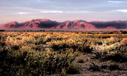 WHITEWATER DRAW WILDLIFE AREA (11-6-2020) early morning, cochise co, az -07 PHOTOSHOP WATERCOLOR