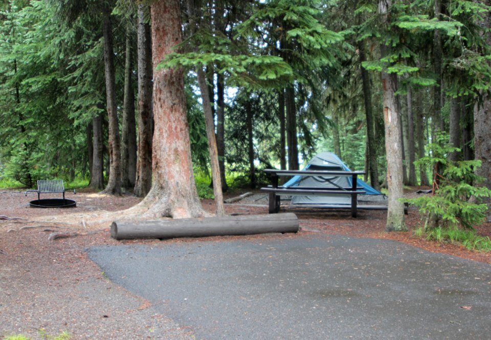 Bridge Bay Campground site