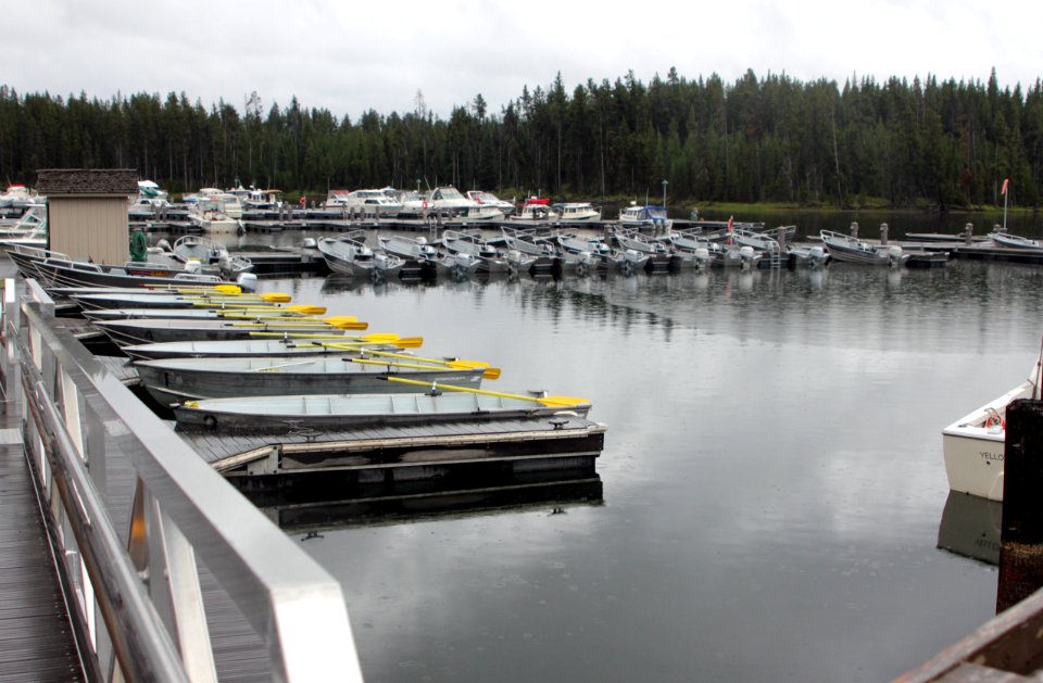 Bridge Bay Marina