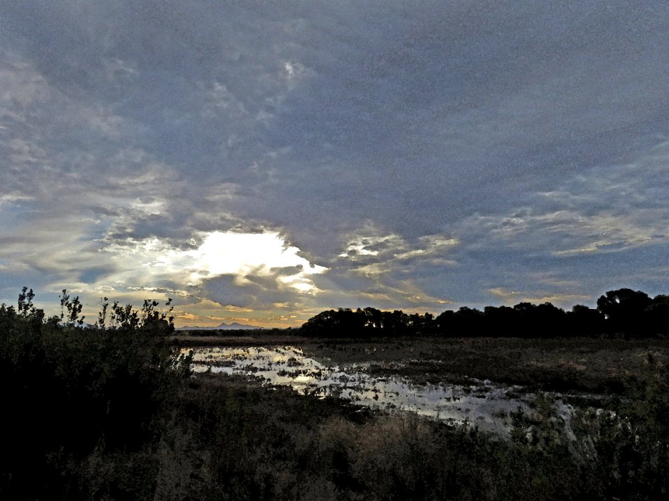 WHITEWATER DRAW WILDLIFE AREA (11-6-2020) early morning, cochise co, az -10 PHOTOSHOP WATERCOLOR