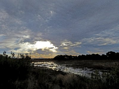 WHITEWATER DRAW WILDLIFE AREA (11-6-2020) early morning, cochise co, az -10 PHOTOSHOP WATERCOLOR