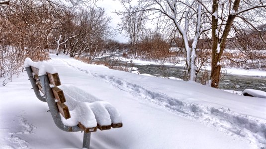 Winter Bench photo