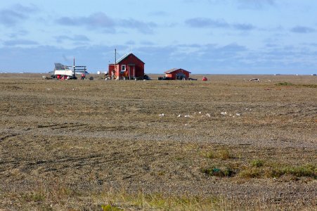 LONE HOUSE