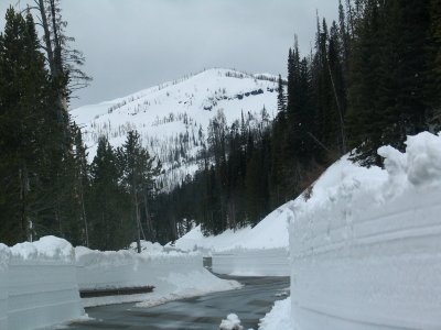East Entrance Road towards Lake, Single Cut (2)