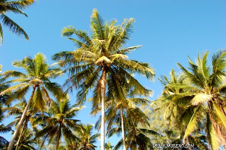 DSC 0173