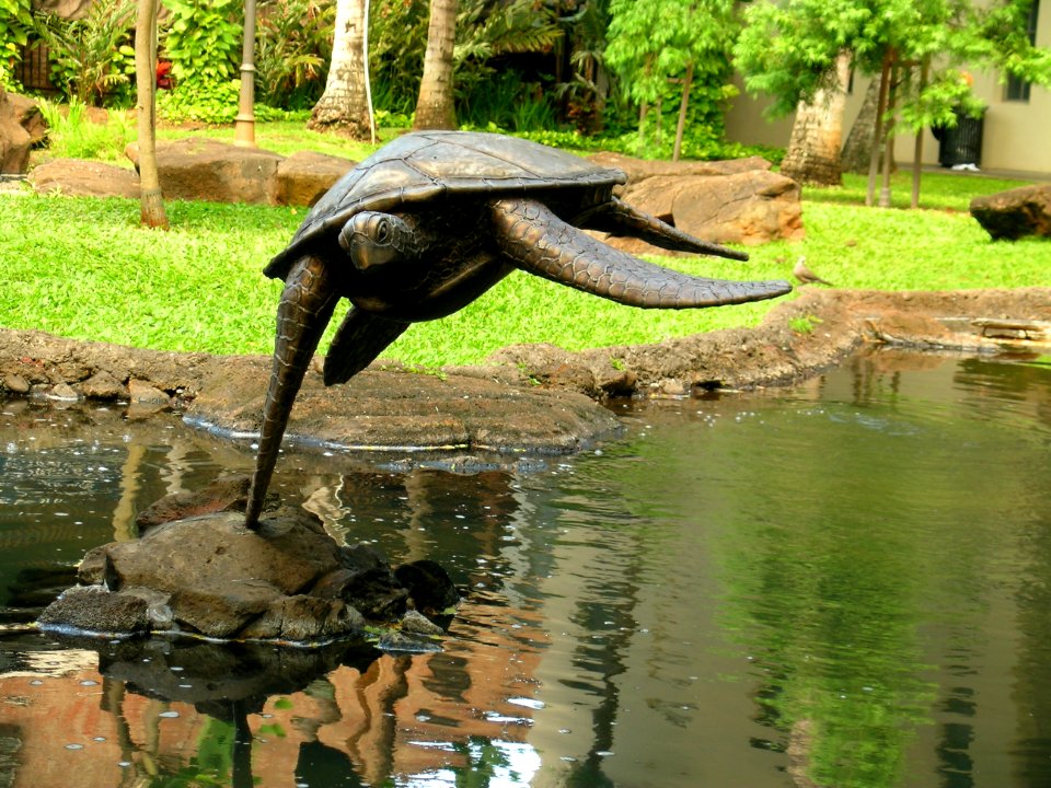 turtle sculpture
