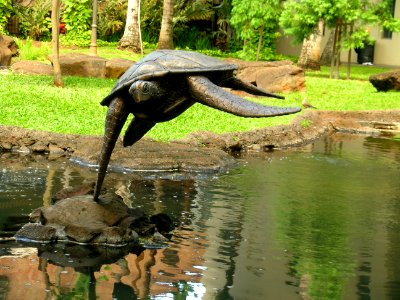 turtle sculpture