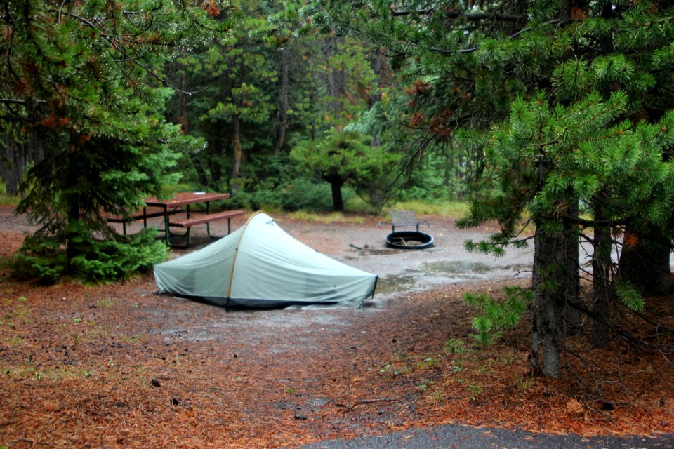 Grant Campground site