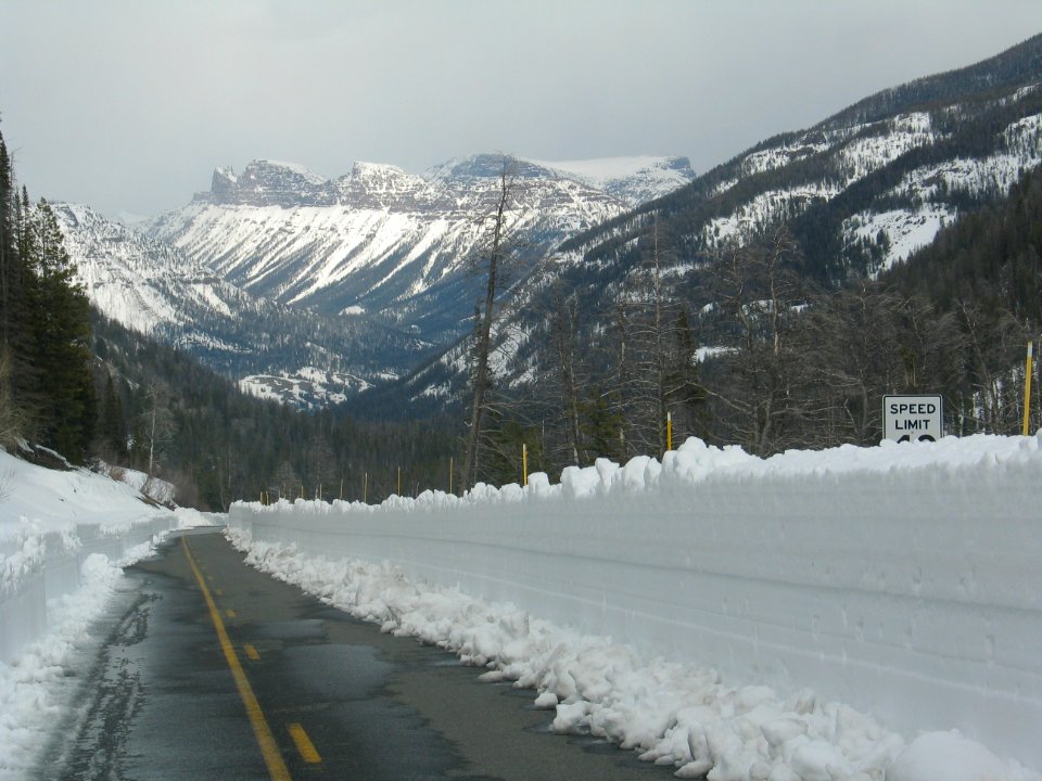 Looking East on East Entrance Road (4)