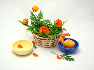 Basket with flowers and apricot photo