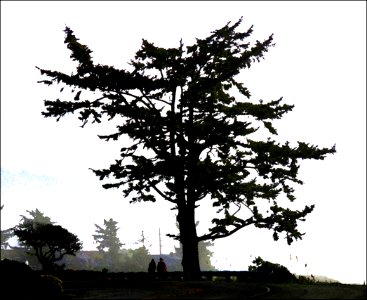 010 - BATTERY POINT LIGHTHOUSE & PEBBLE BEACH DRIVE (1-7-2021) crescent city, del norte co, ca -23 PHOTOSHOP WATERCOLOR