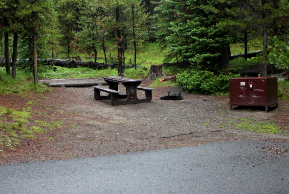 Bridge Bay Campground site