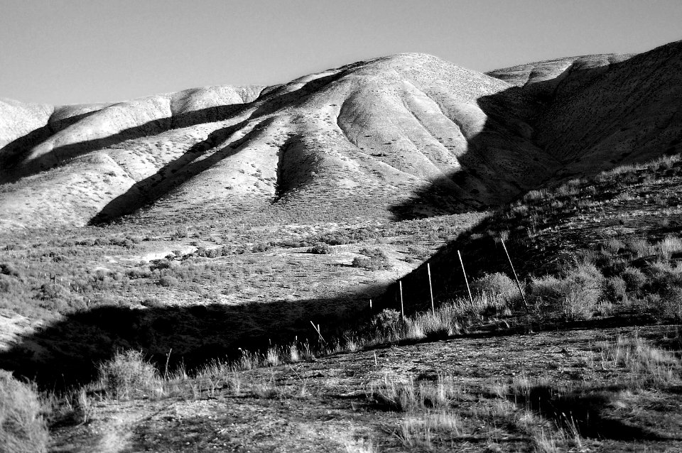 CA - SLO COUNTY, Carrizo Plain area (21) photo