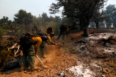 Ruby Mountain Crew cutting fire line in Division W