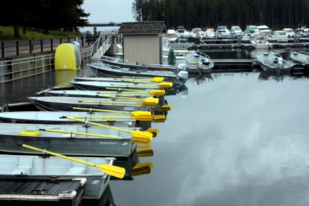 Bridge Bay Marina