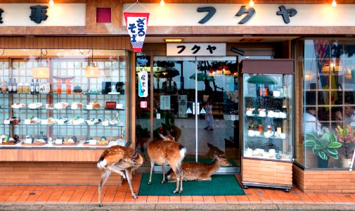 Table for three please. Last name "Doe". photo