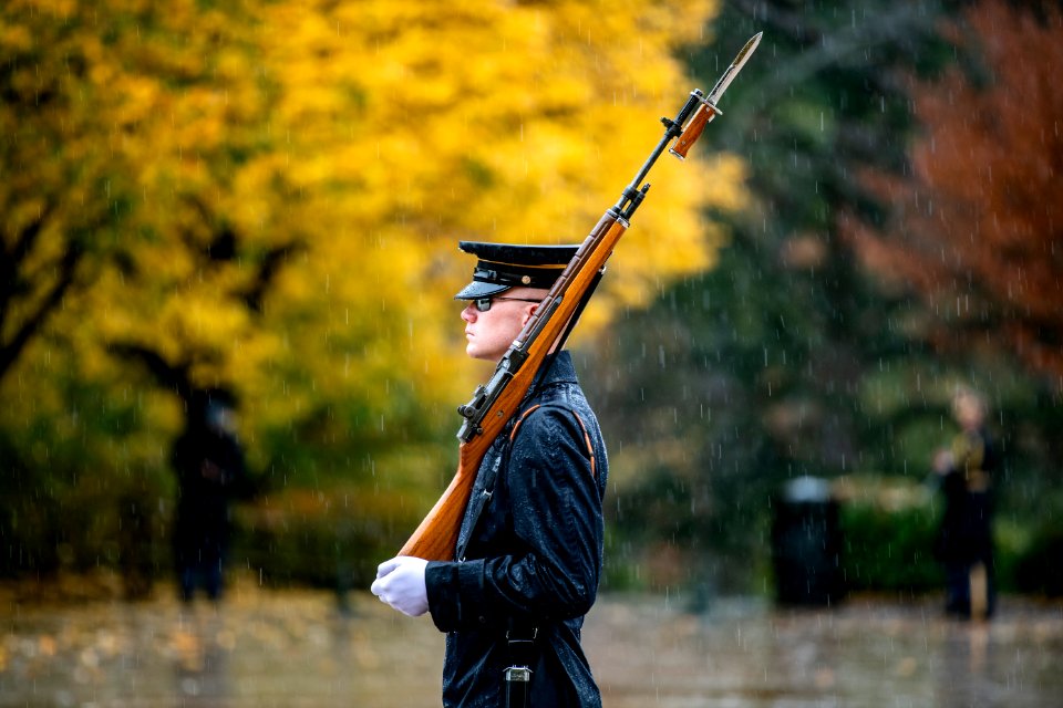 Veterans Day 2020
