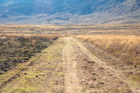 Cinnabar Basin prescribed burn project (31) - treated area on the left, untreated on the right