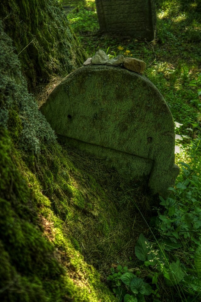 Grave stones graves attention