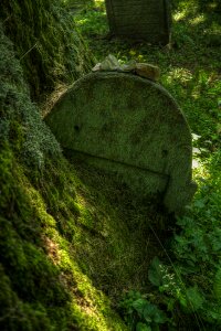 Grave stones graves attention