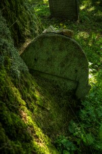 Grave stones graves attention photo