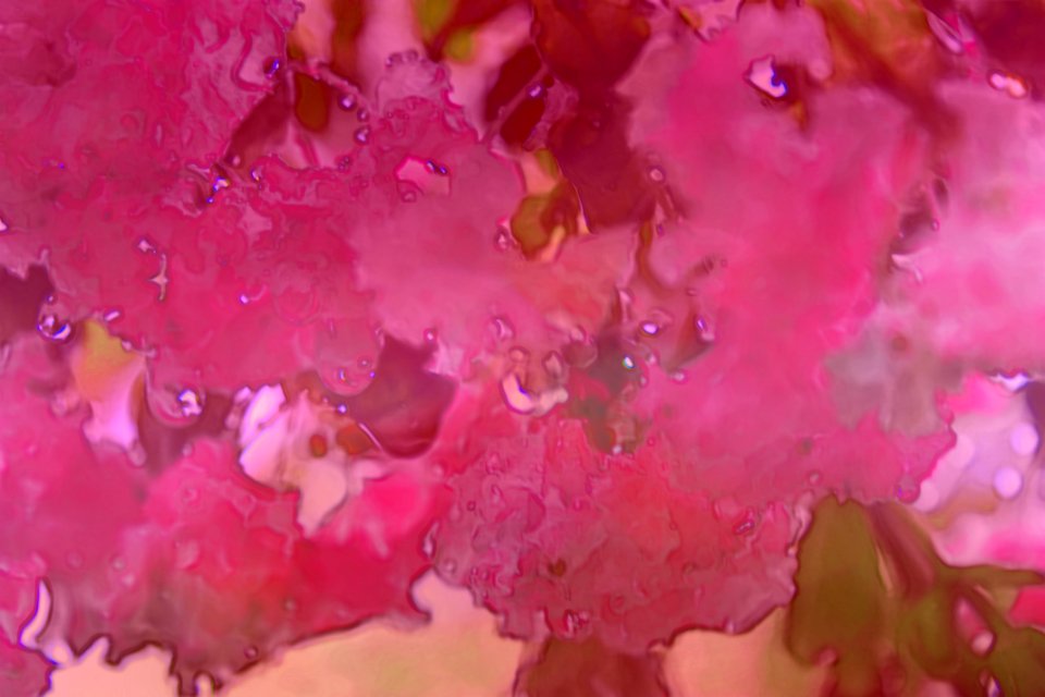 Abstract Crepe Myrtle (Free Texture)