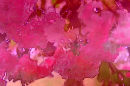 Abstract Crepe Myrtle (Free Texture) photo