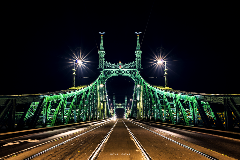 Liberty bridge, Budapest