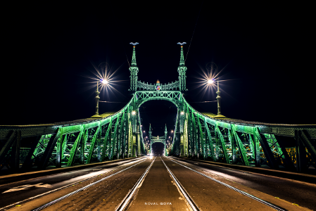 Liberty bridge, Budapest photo