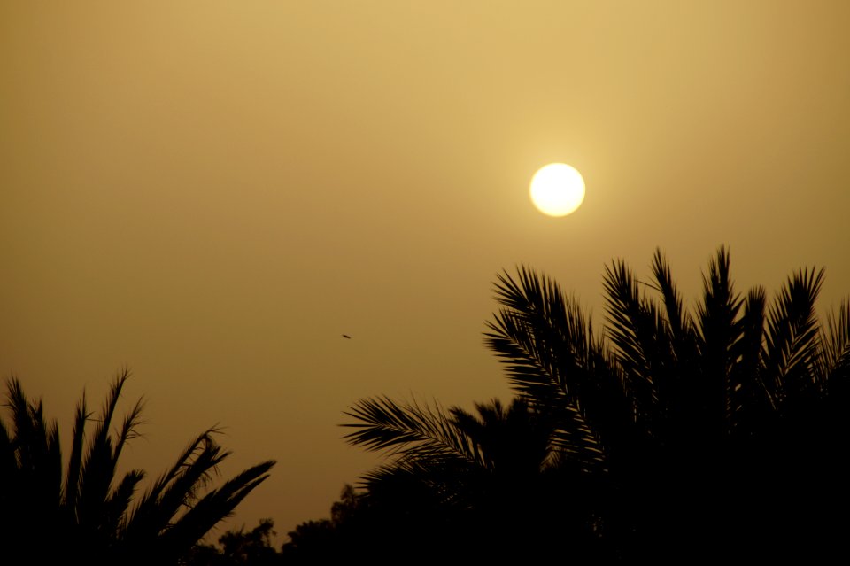 22-03-2015-18-05-35