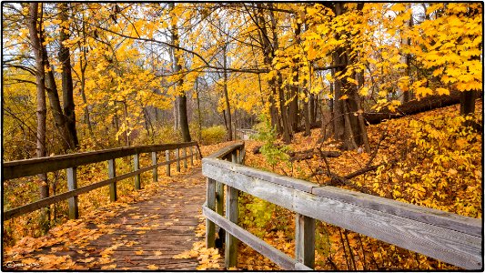 Walkway, Rattray Marsh photo