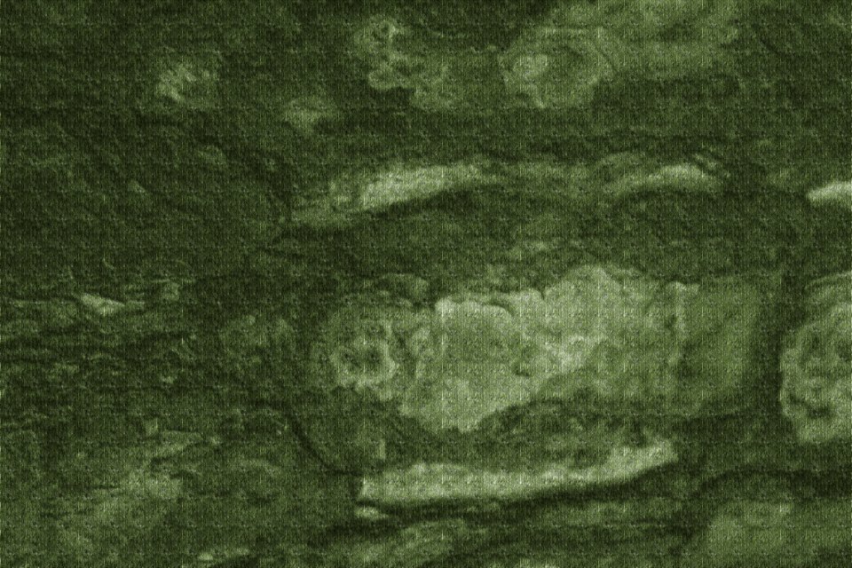 Free Texture - Tree Bark