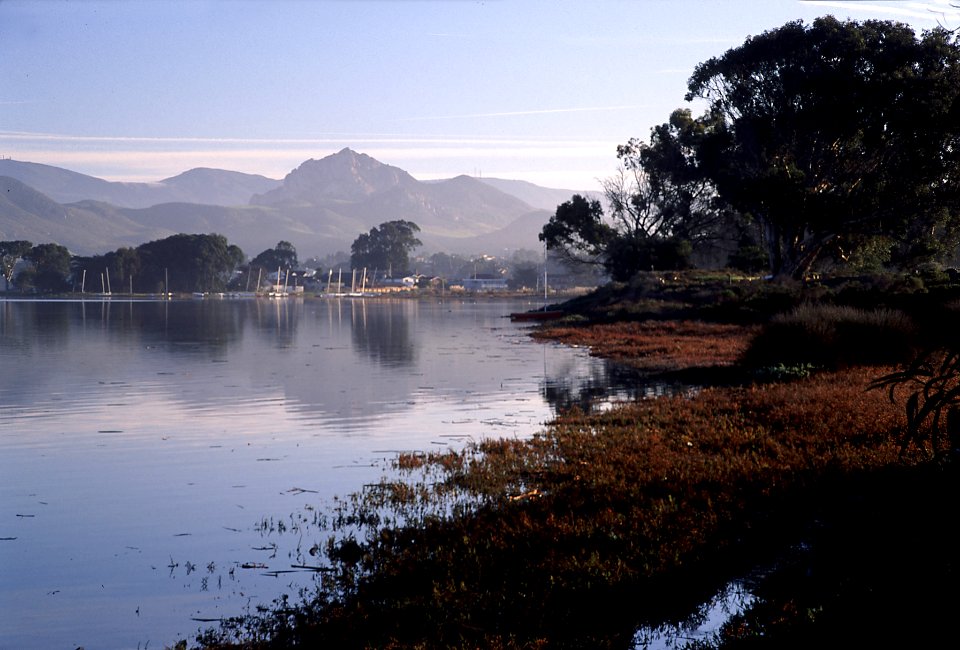 BAYWOOD -002