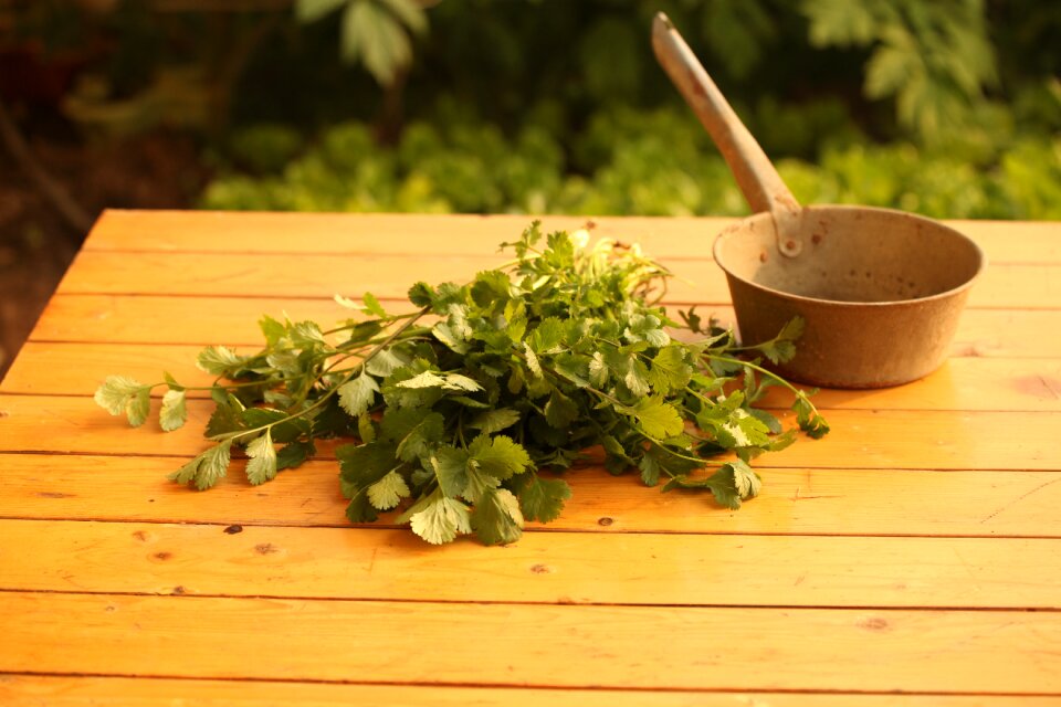 Herb fresh seasoning