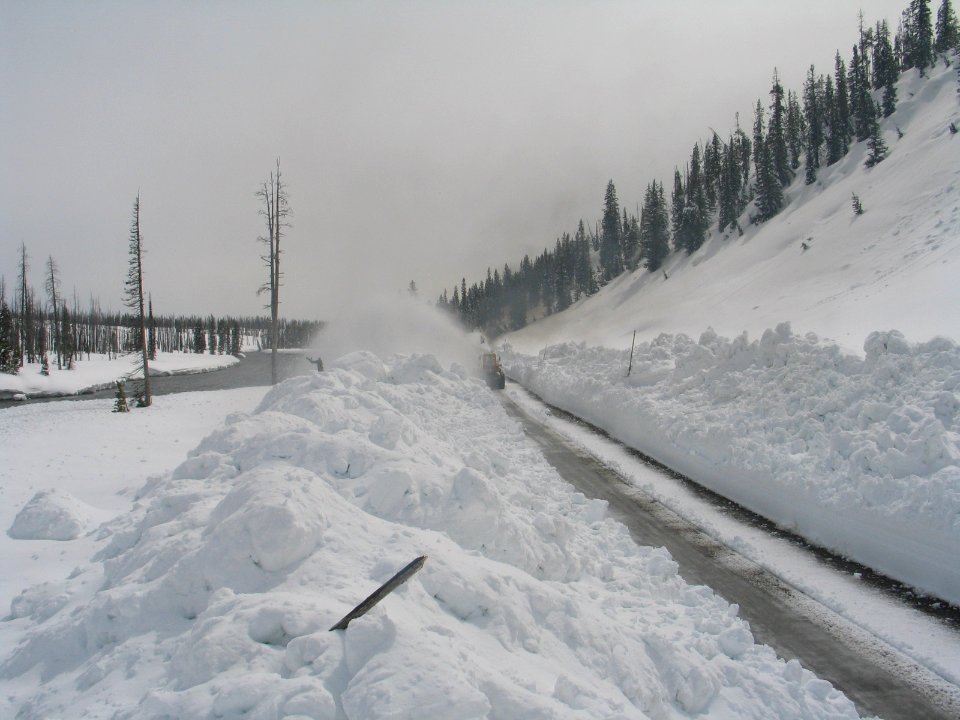 Avalanche area at Lewis River (3)