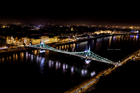 Liberty bridge, Danube, Economic University, Budapest, Hungary photo