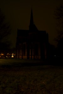 Das Münster bei Nacht (digital)