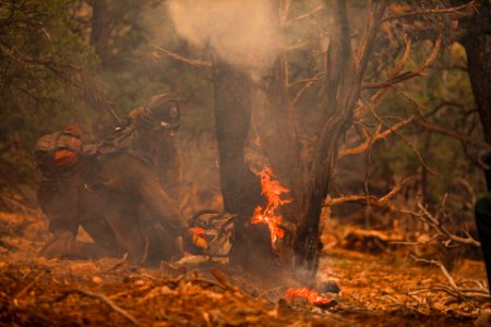 Ruby Mountain Crew cutting fire line in Division W