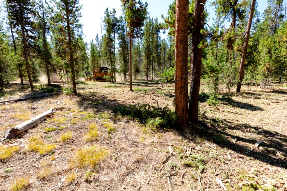 2019 West Fuels Treatment Project: masticator in action (8)