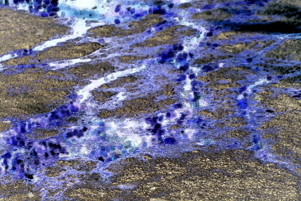 Drought - Free Background / Texture